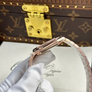 Đồng Hồ Patek Philipe Cubitus Mặt Số Chocolate Replica 11 Xưởng TW 45mm (1)