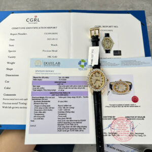 Đồng Hồ Chopard Happy Diamonds Bọc Vàng Đính Moissanite Hong Kong Chế Tác 34mm (4)