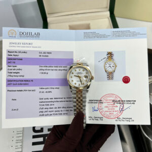 Đồng Hồ Rolex DateJust 126233 Demi Bọc Vàng 18K Mặt Số Xà Cừ Nhà Máy GM 36mm (1)
